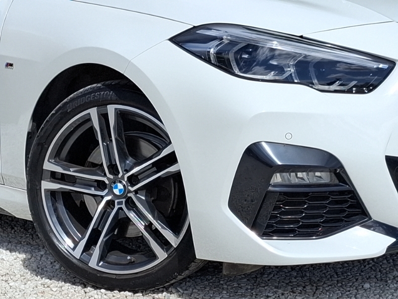 BMW 2 Series 220I M Sport Purple #20