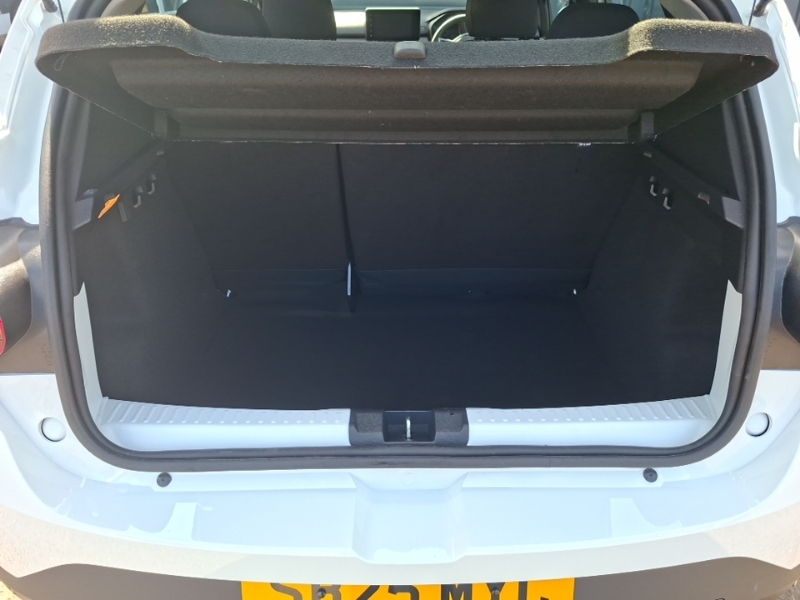 Dacia Sandero Stepway 1.0 Tce Extreme Hatchback Green #18