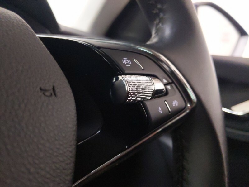Skoda Kamiq Se Drive Blue #18