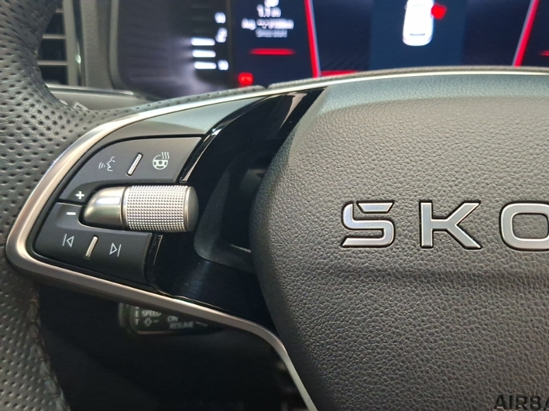 Skoda Karoq Se L Edition Grey #12