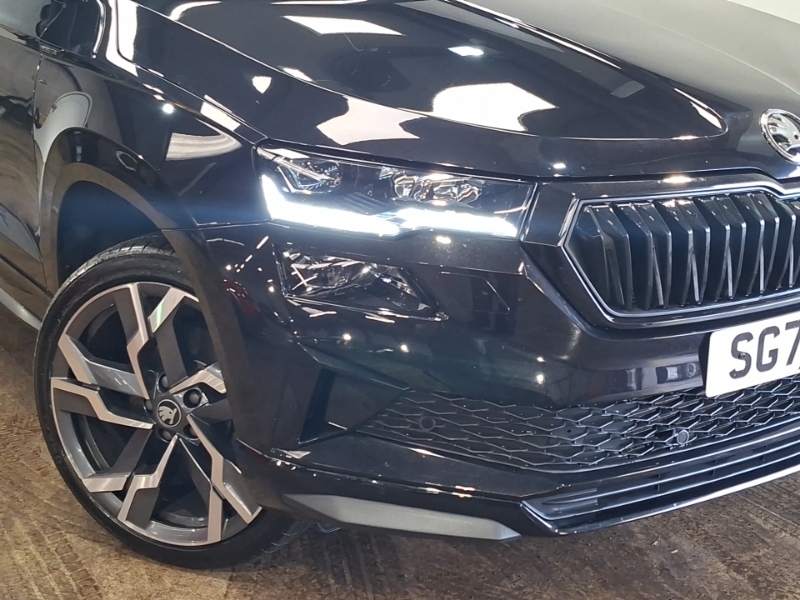Skoda Karoq Se L Edition Grey #20