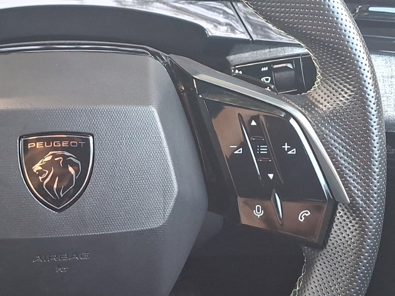 Peugeot 3008 1.2 Active Puretech Hybrid E-dsc Black #13