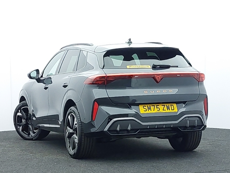 Cupra Terramar 2.0 Tsi 204 V2 Dsg 4Drive Grey #2