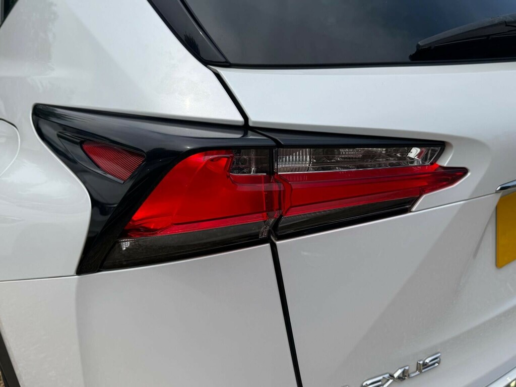 Lexus NX Luxury Silver #49