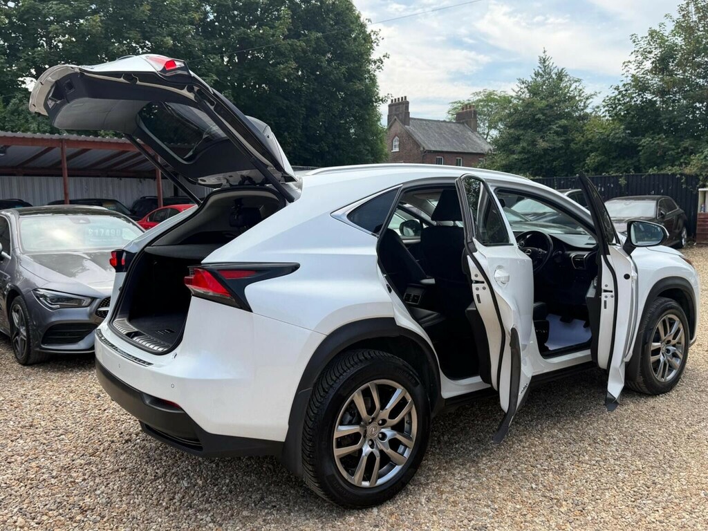 Lexus NX Luxury Silver #55
