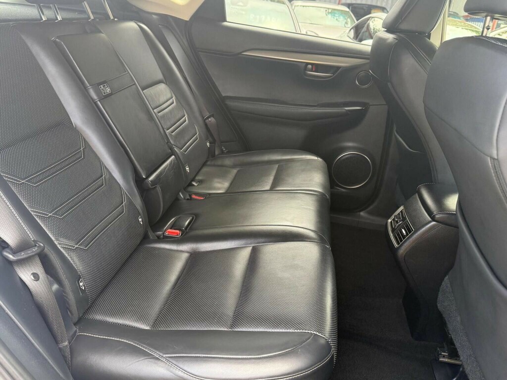 Lexus NX Luxury Silver #20