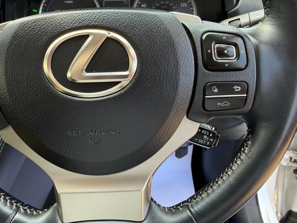 Lexus NX Luxury Silver #28