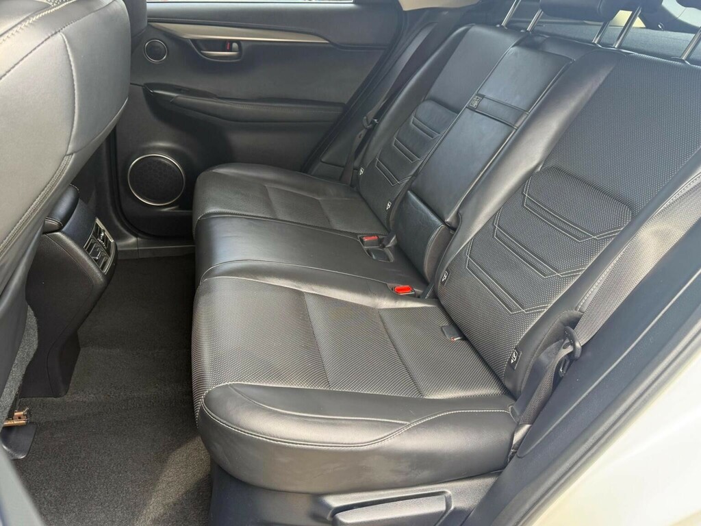 Lexus NX Luxury Silver #21