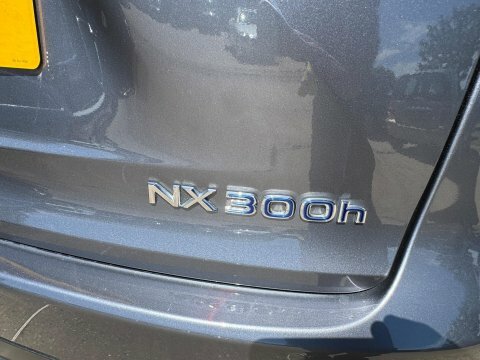 Lexus NX 2.5 300H Gpf Grey #3