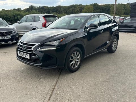 Lexus NX 2.5 300H Premier E-cvt 4Wd Euro 6 Ss White #15