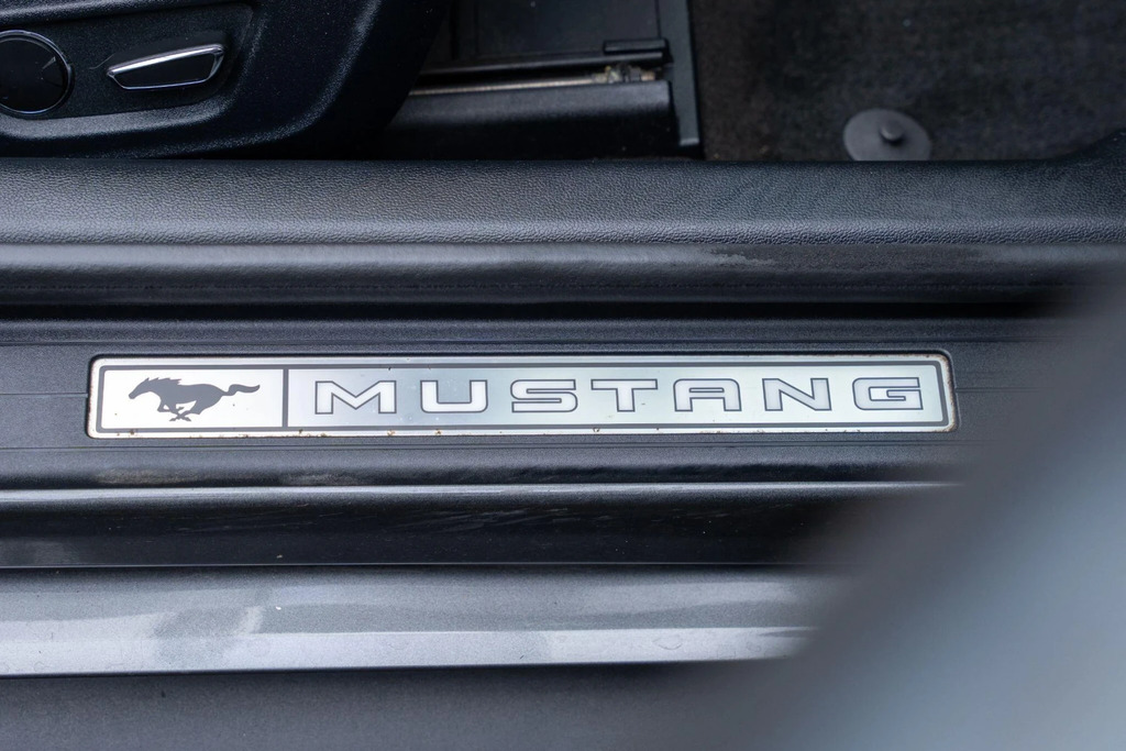 Ford Mustang Mustang Ecoboost Red #41