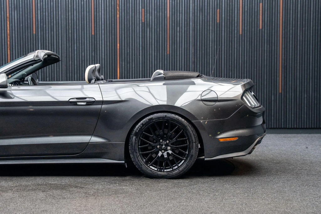 Ford Mustang Mustang Ecoboost Red #19