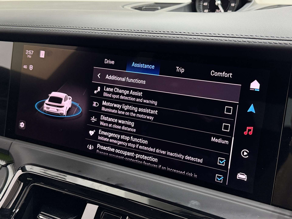 Porsche Panamera 4 E-hybrid 2024 2025 Green #47