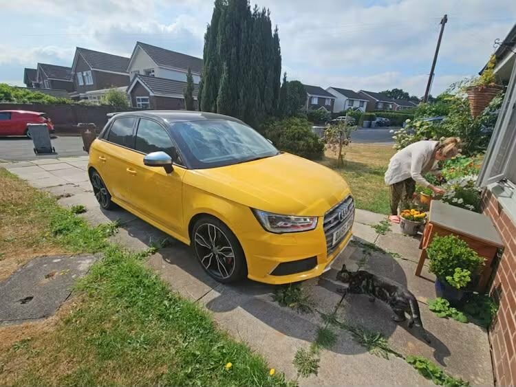 Audi S1 S1 Quattro Sportback Yellow #2