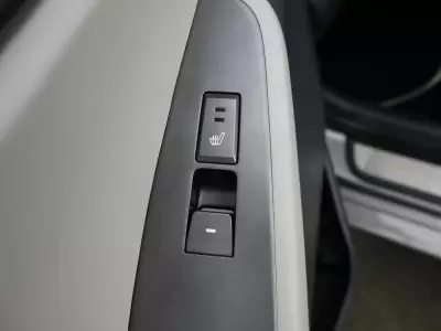 Hyundai Ioniq 100Kw Premium 38Kwh Grey #11