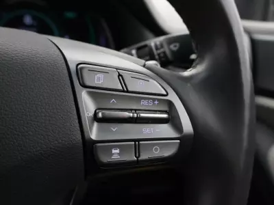 Hyundai Ioniq 100Kw Premium 38Kwh Grey #22