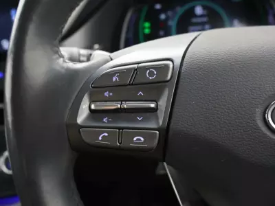 Hyundai Ioniq 100Kw Premium 38Kwh Grey #20