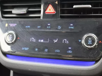 Hyundai Ioniq 100Kw Premium 38Kwh Grey #17