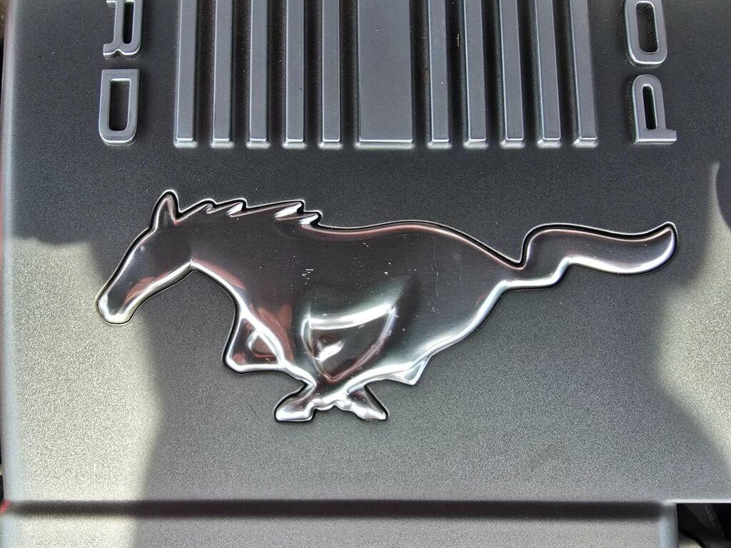 Ford Mustang Coupe Gt Black #53