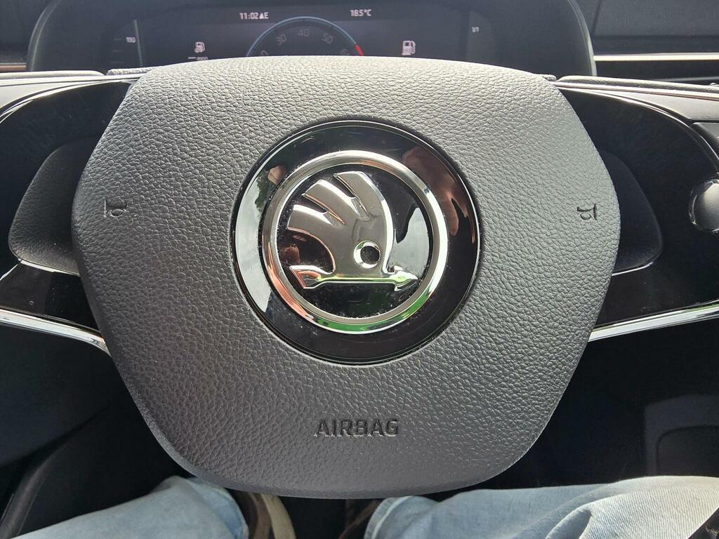 Skoda Kamiq 1.5 Tsi Se L Dsg Blue #48