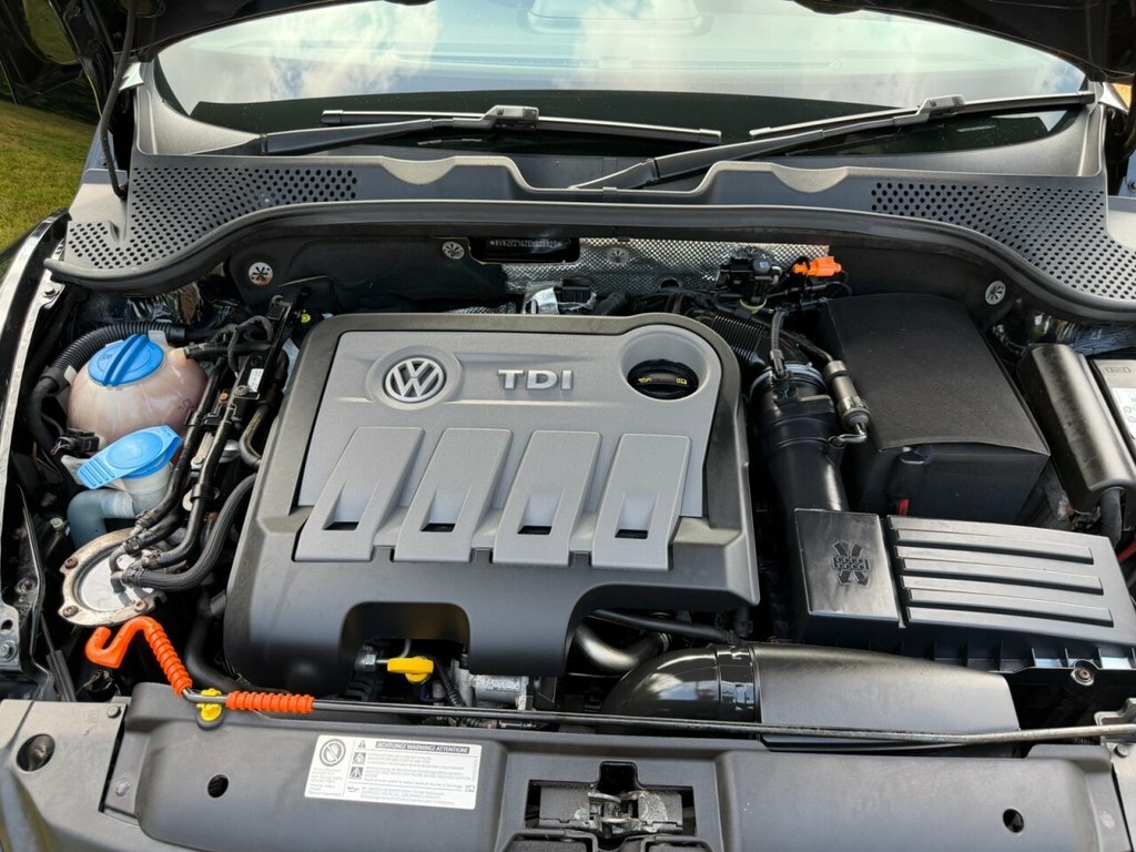Volkswagen Beetle Design 1.6 Tdi 105Ps White #21