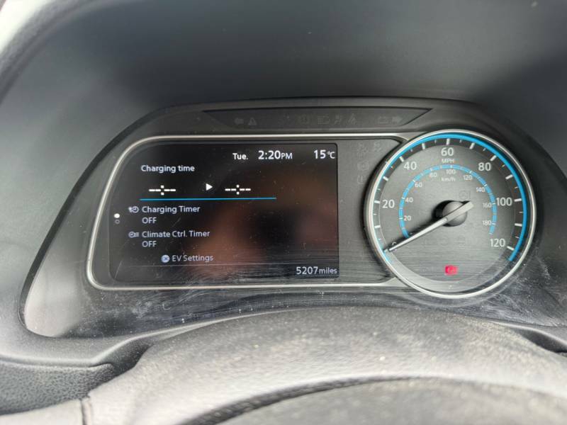 Nissan Leaf Shiro White #13