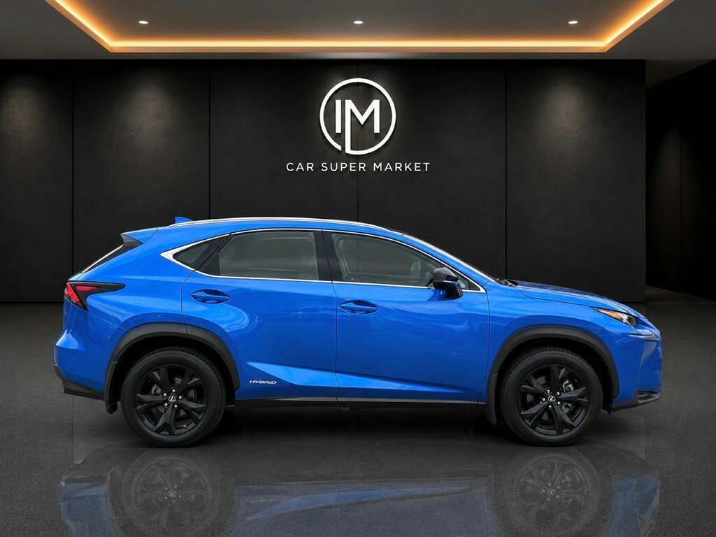 Lexus NX 300H 2.5 Premier Cvt Silver #13