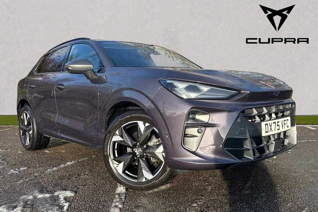 Cupra Terramar 1.5 Etsi 150 V2 Dsg Purple