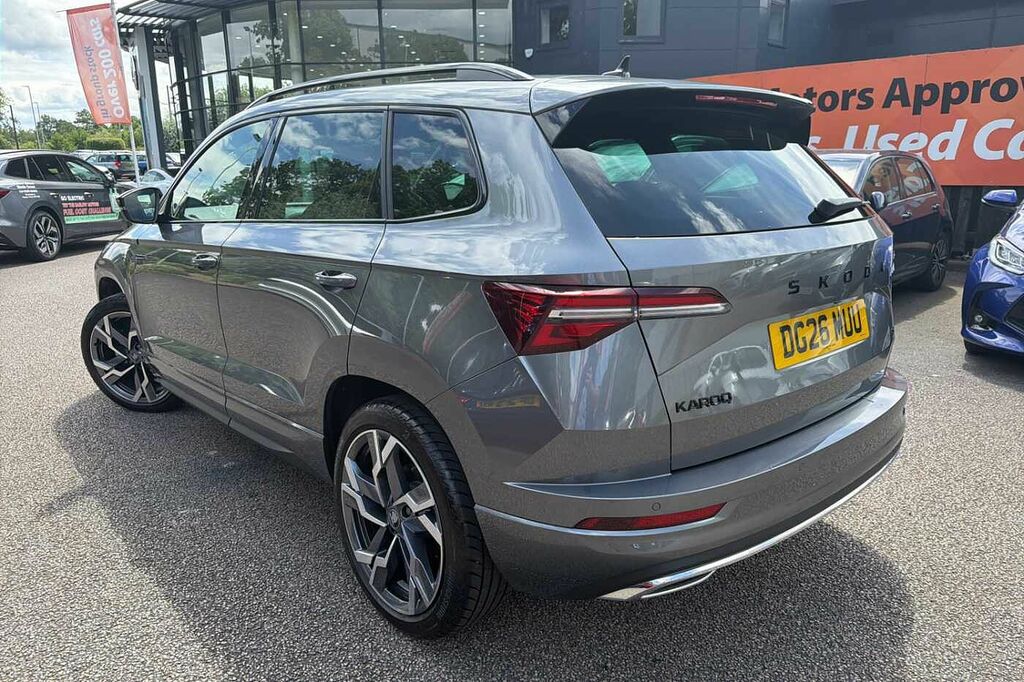 Skoda Karoq 2.0 Tdi 150 Sportline Edition 4X4 Dsg Grey #3