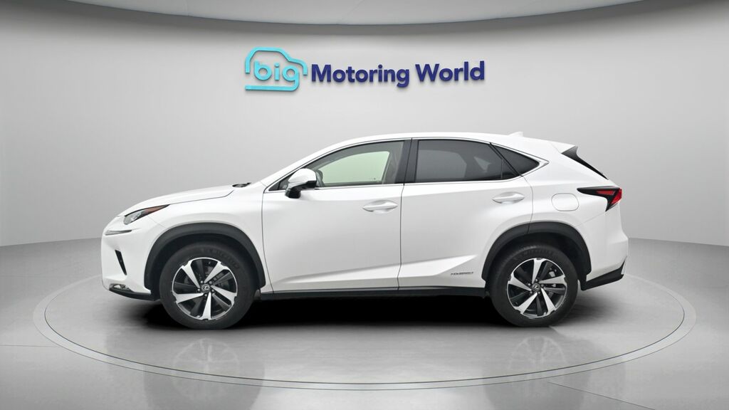 Lexus NX Takumi RN19XFB White #4