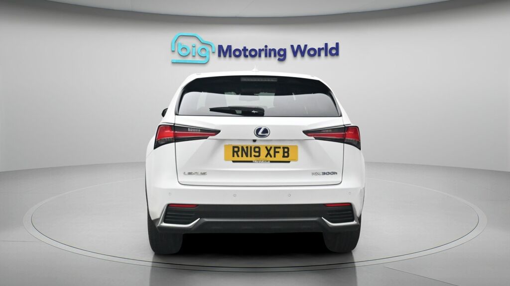 Lexus NX Takumi RN19XFB White #6