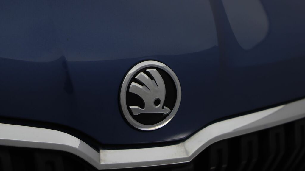 Skoda Kamiq 1.5 Tsi Monte Carlo Dsg Grey #21