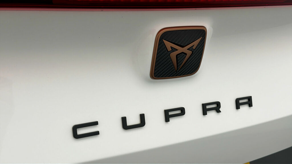 Cupra Formentor 2.0 Tsi Vz3 Suv Dsg 4Drive Euro 6 Ss Green #19