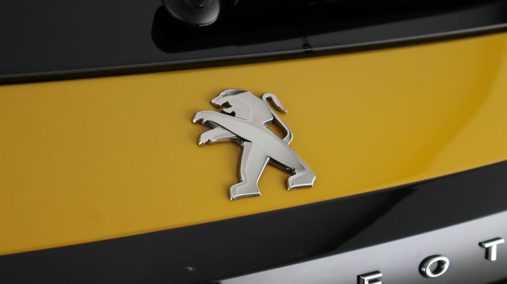 Peugeot e-208 50Kwh Gt Hatchback 7.4Kw Charge  #20