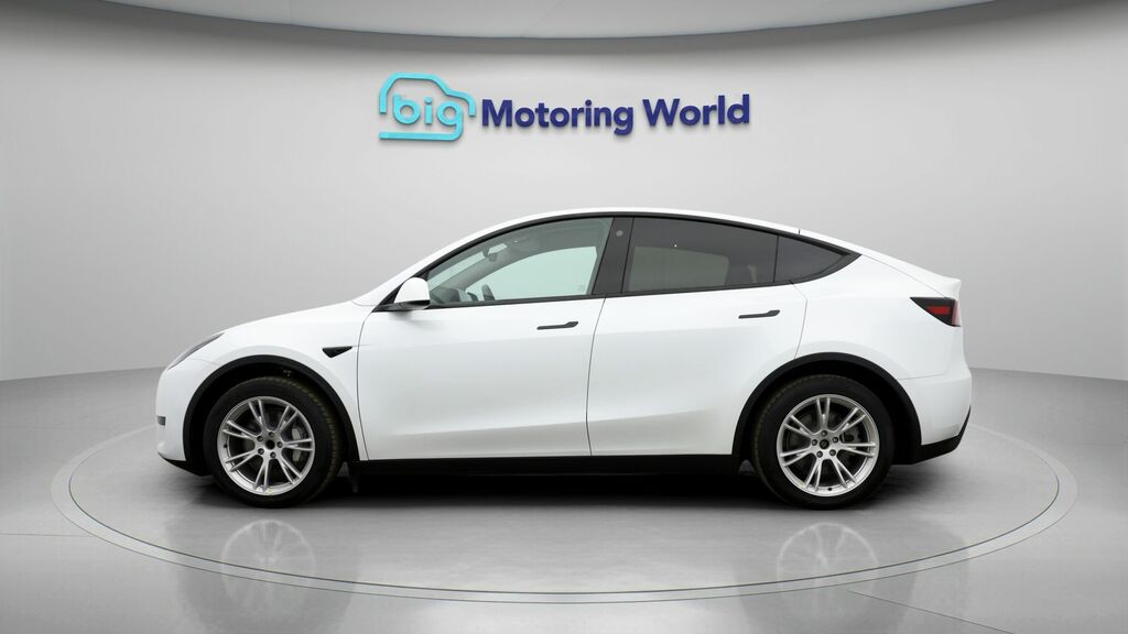 Tesla Model Y Y Model Y Rwd BV24DKN White #4
