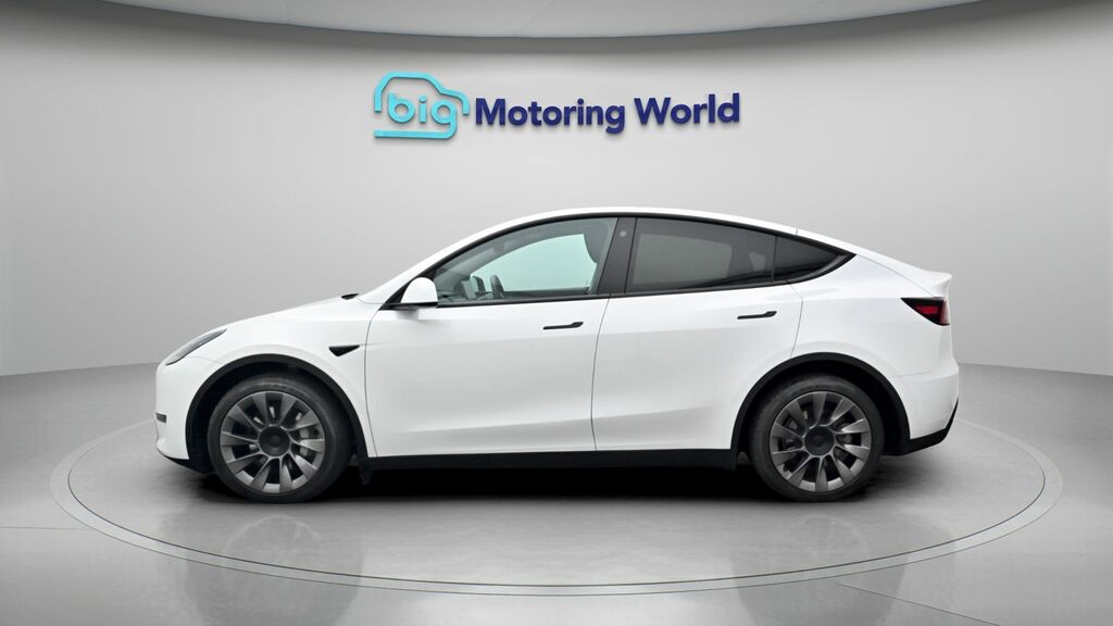 Tesla Model Y Long Range AF23WRL White #4