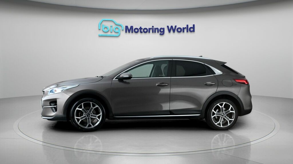 Kia Xceed 3 Brown #4