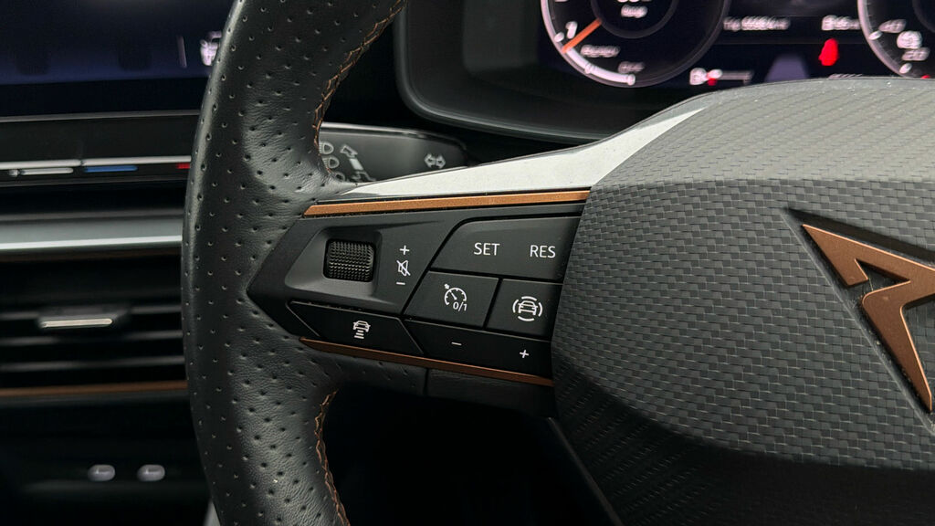 Cupra Formentor 1.5 Tsi 150 V2 Green #22