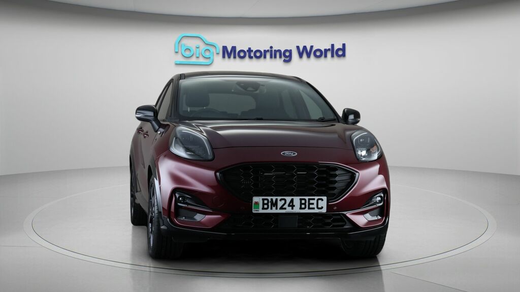 Ford Puma Vivid Ruby Edition BM24BEC Red #2
