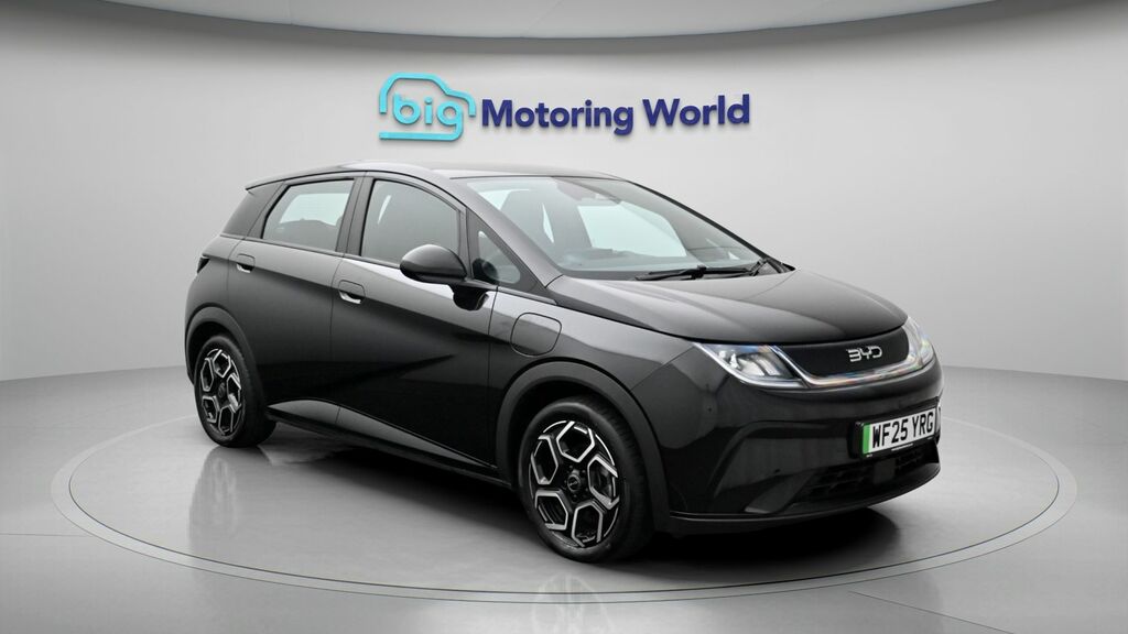 Byd Dolphin Comfort Black