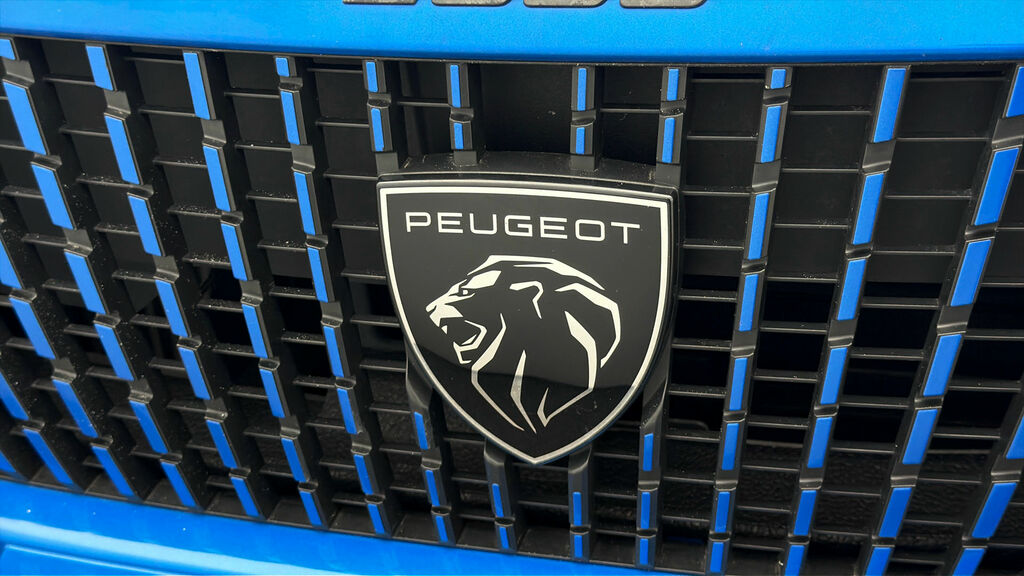 Peugeot 2008 Active Grey #20