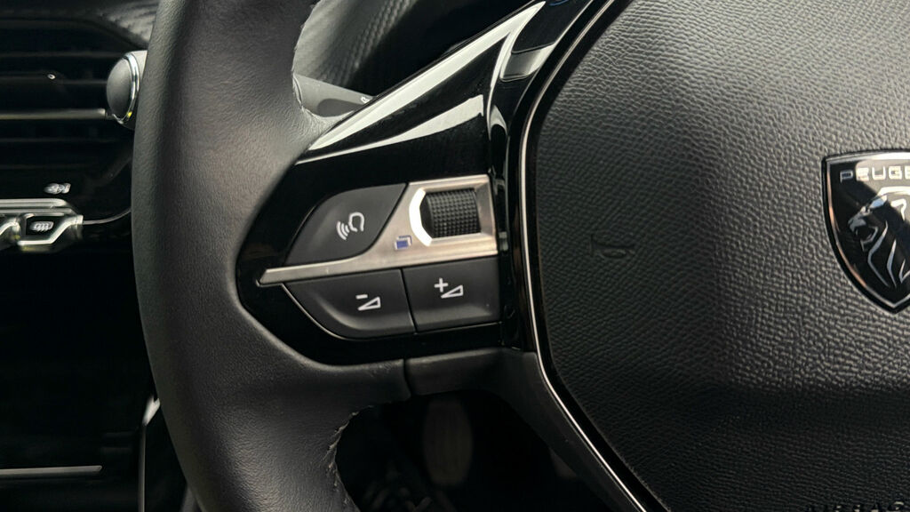 Peugeot 2008 Active Grey #21