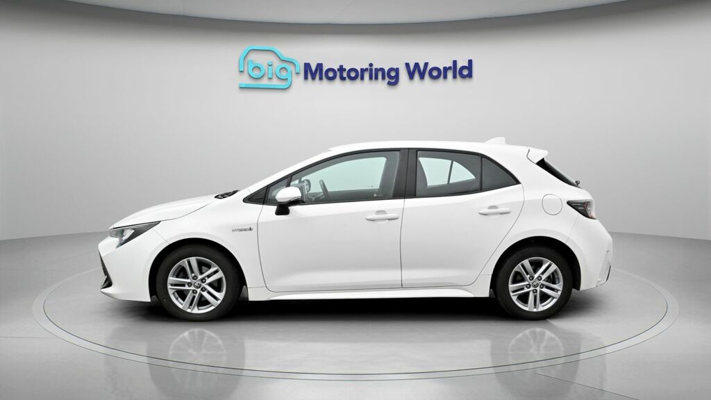 Toyota Corolla Icon White #4