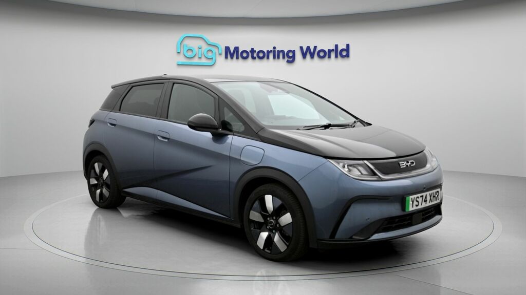Byd Dolphin Design Black