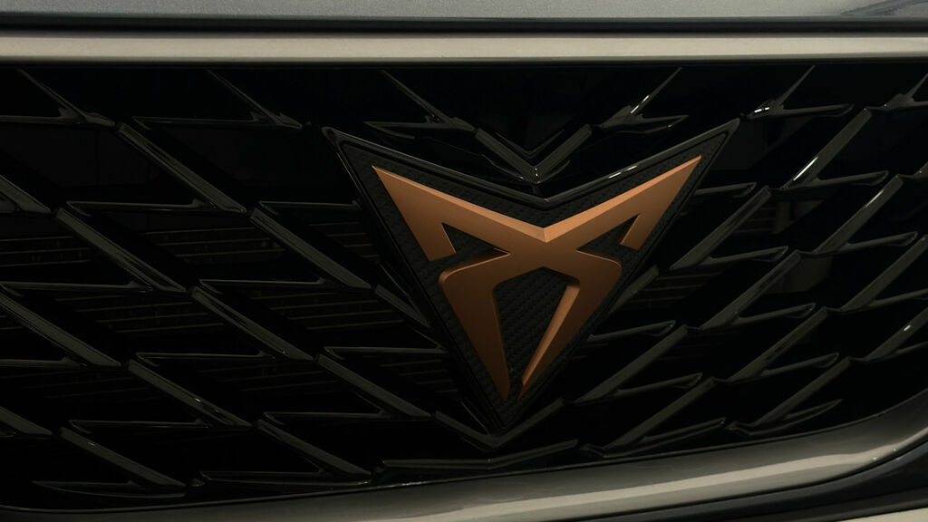 Cupra Formentor 1.5 Tsi 150 V2 Dsg Grey #21