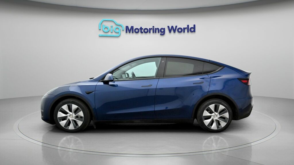 Tesla Model Y Long Range Blue #4