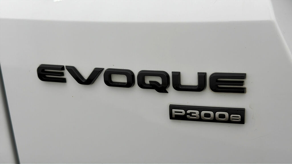 Land Rover Range Rover Evoque 2.0 D200 R-dynamic Hse Silver #19