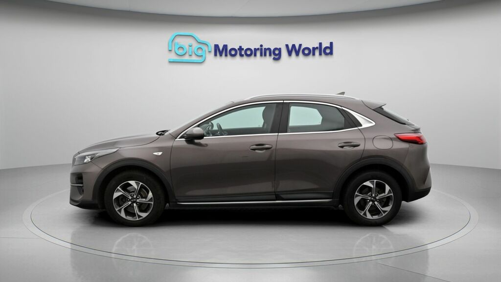 Kia Xceed 2 Brown #4