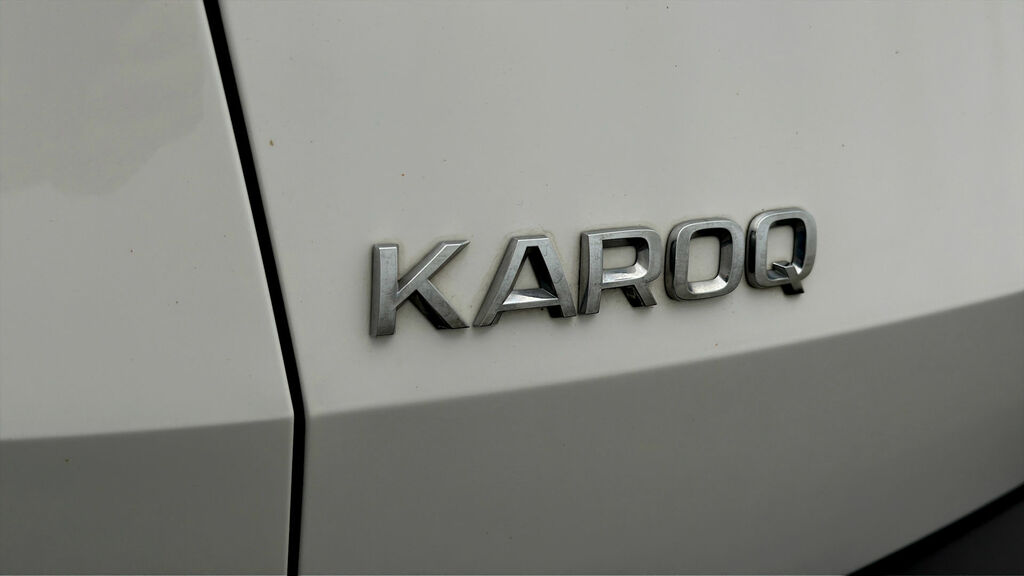 Skoda Karoq 1.5 Tsi Se Technology Grey #19