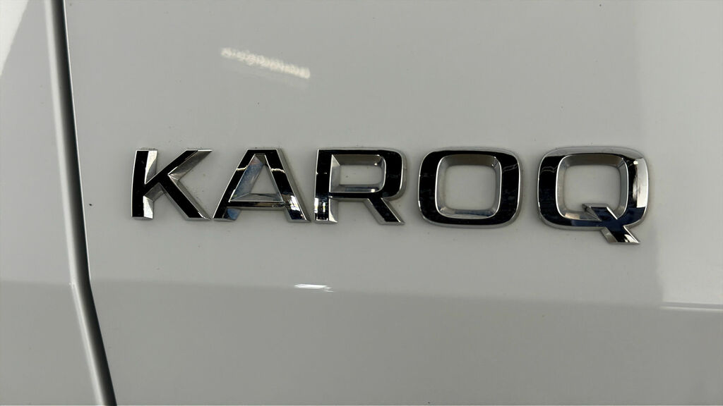 Skoda Karoq Se L 2.0 Tdi 116 Ps Dsg Grey #21